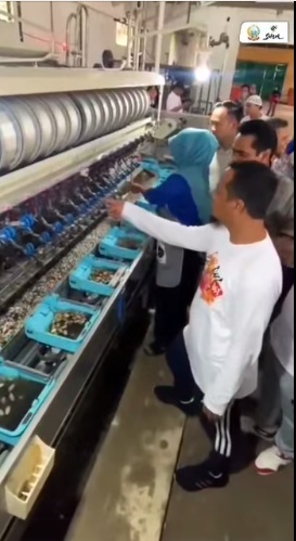 Gubernur Ingin Bangkitkan Kejayaan Sutera Wajo, Setelah 20 Tahun Kembali Memproduksi Kokon Sendiri